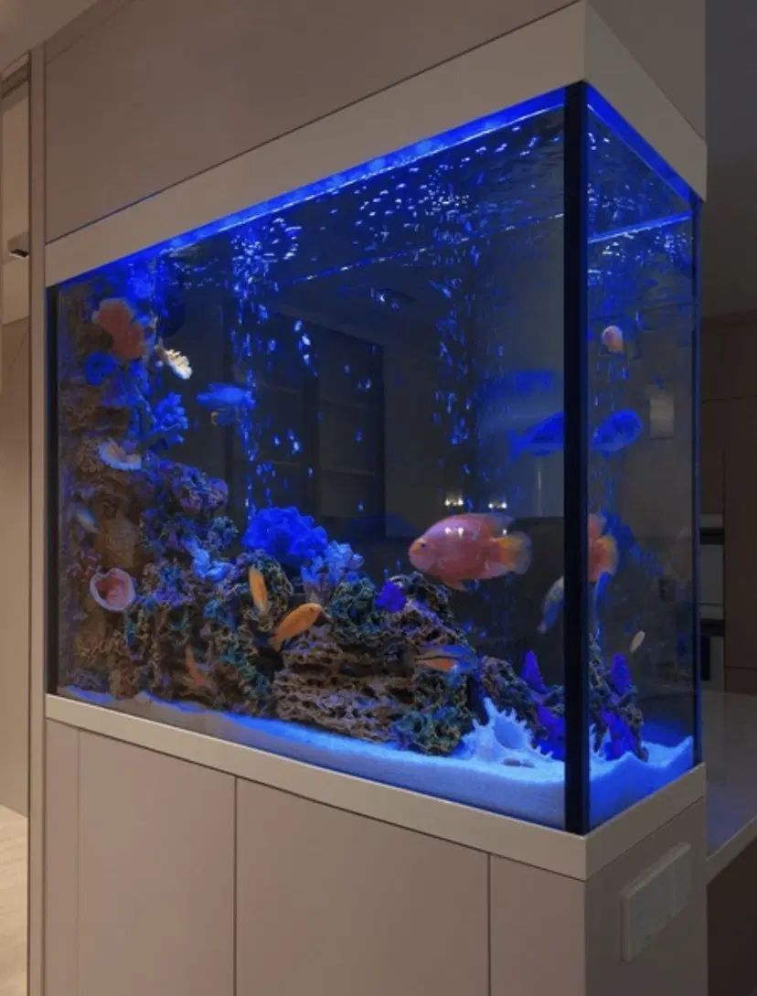 جشنواره ویژه فروش آکواریوم های ocean tiny|ماهی|رشت, گلسار|دیوار