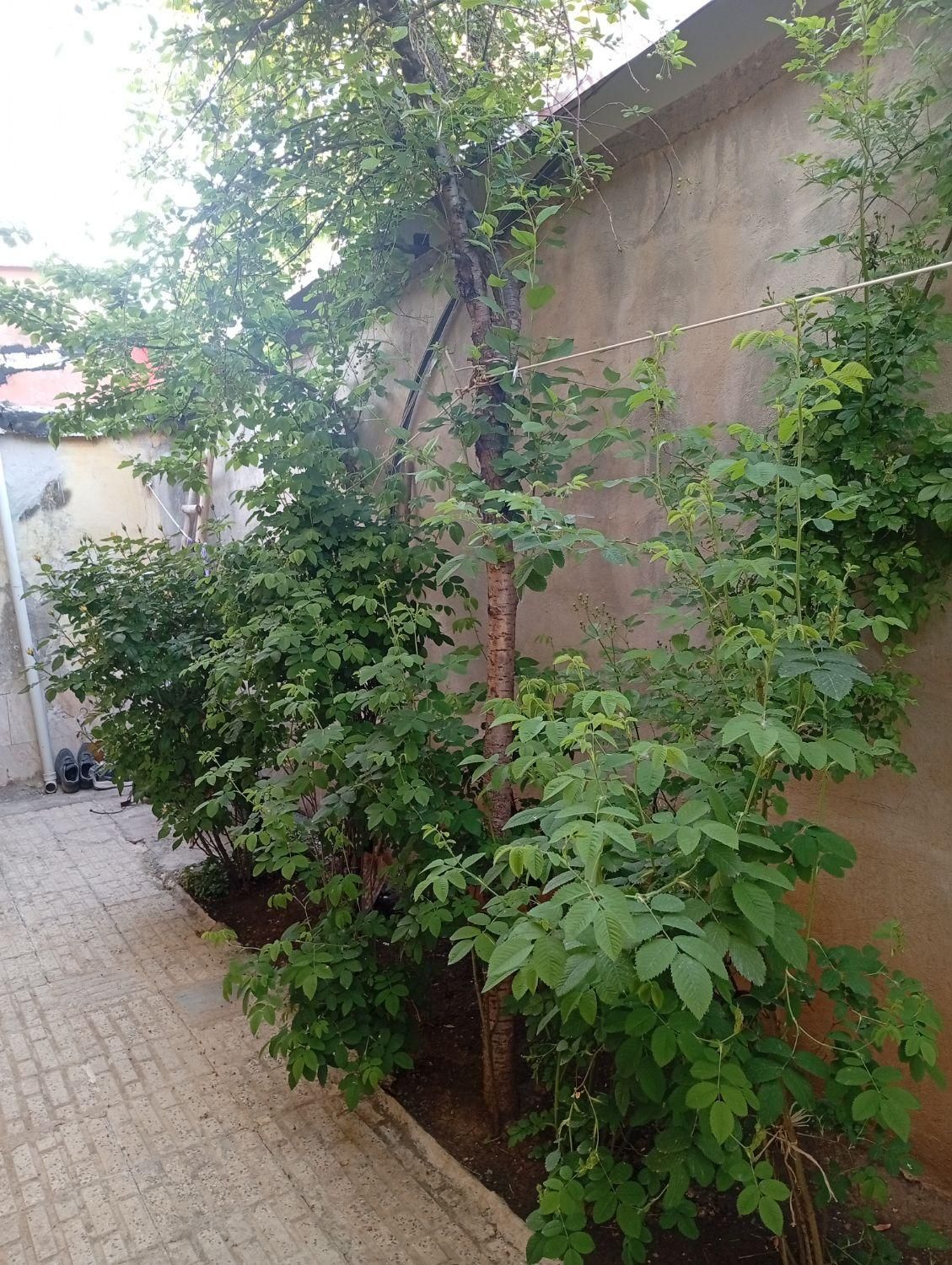 فروش خانه ویلایی ۷۵ متری ۱ خوابه|فروش خانه و ویلا|طالقان, |دیوار