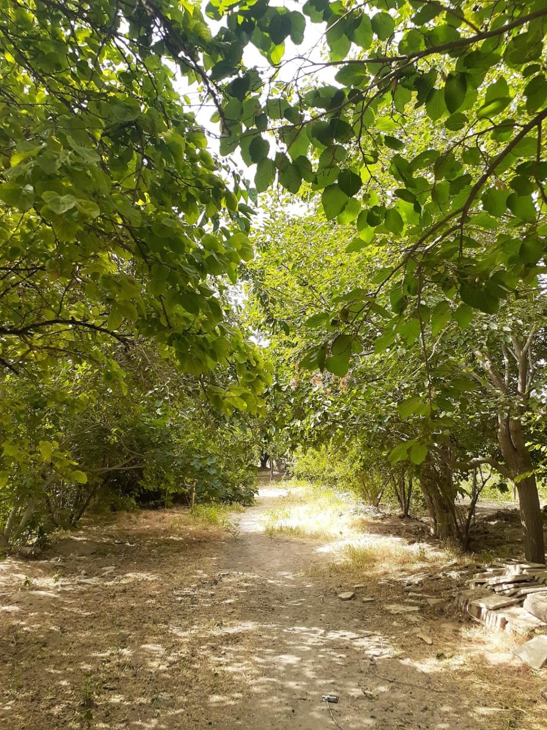 باغ کهن با اصالت، سنددار، با بناقدیمی و خونه باغ|فروش زمین و ملک کلنگی|رباط‌کریم, انجم آباد|دیوار