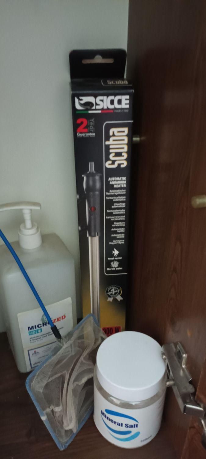 فلاور تایلندی|ماهی|ری, حمزه‌آباد|دیوار