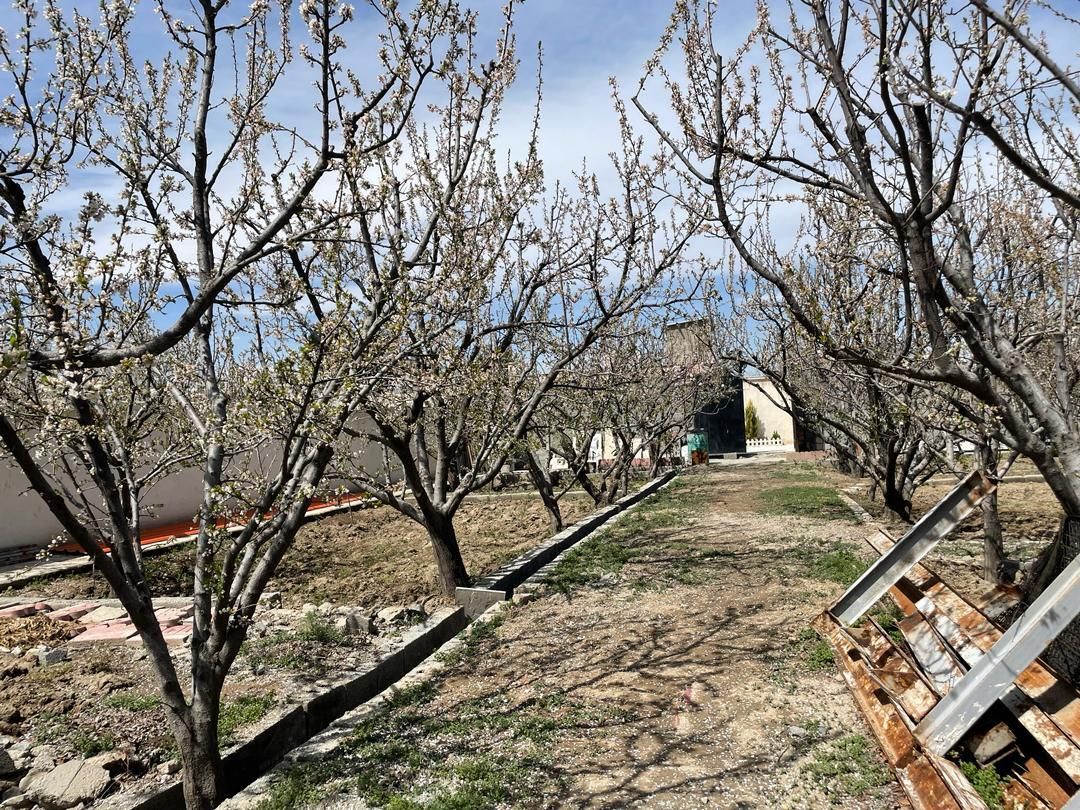 باغ باغچه چهاردیوار ۹۰۰ متررزکان میدان نماز شهریار|فروش خانه و ویلا|تهران, استاد معین|دیوار