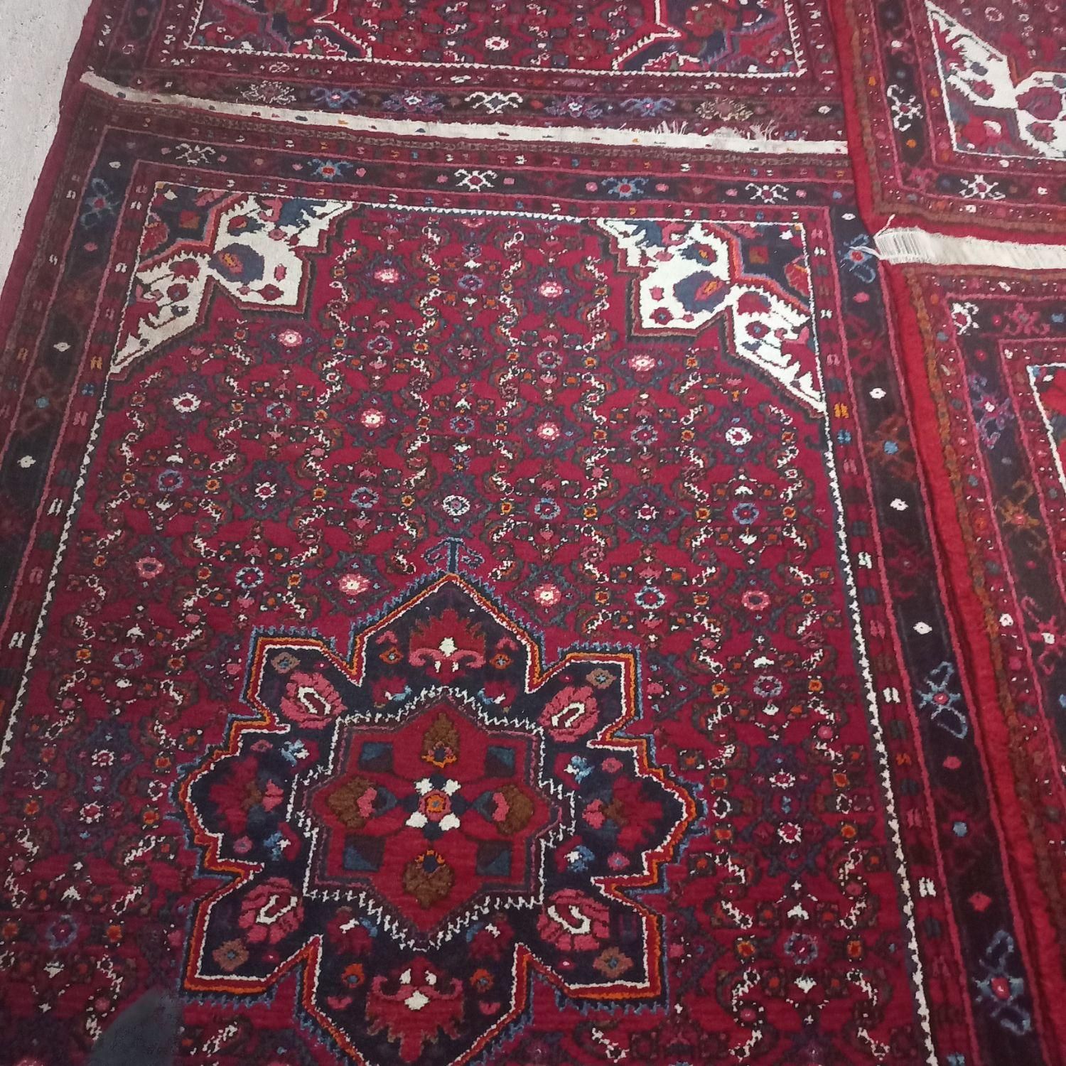 قالی کوردی حسین اباد|گلیم، جاجیم، گبه|کرمانشاه, |دیوار