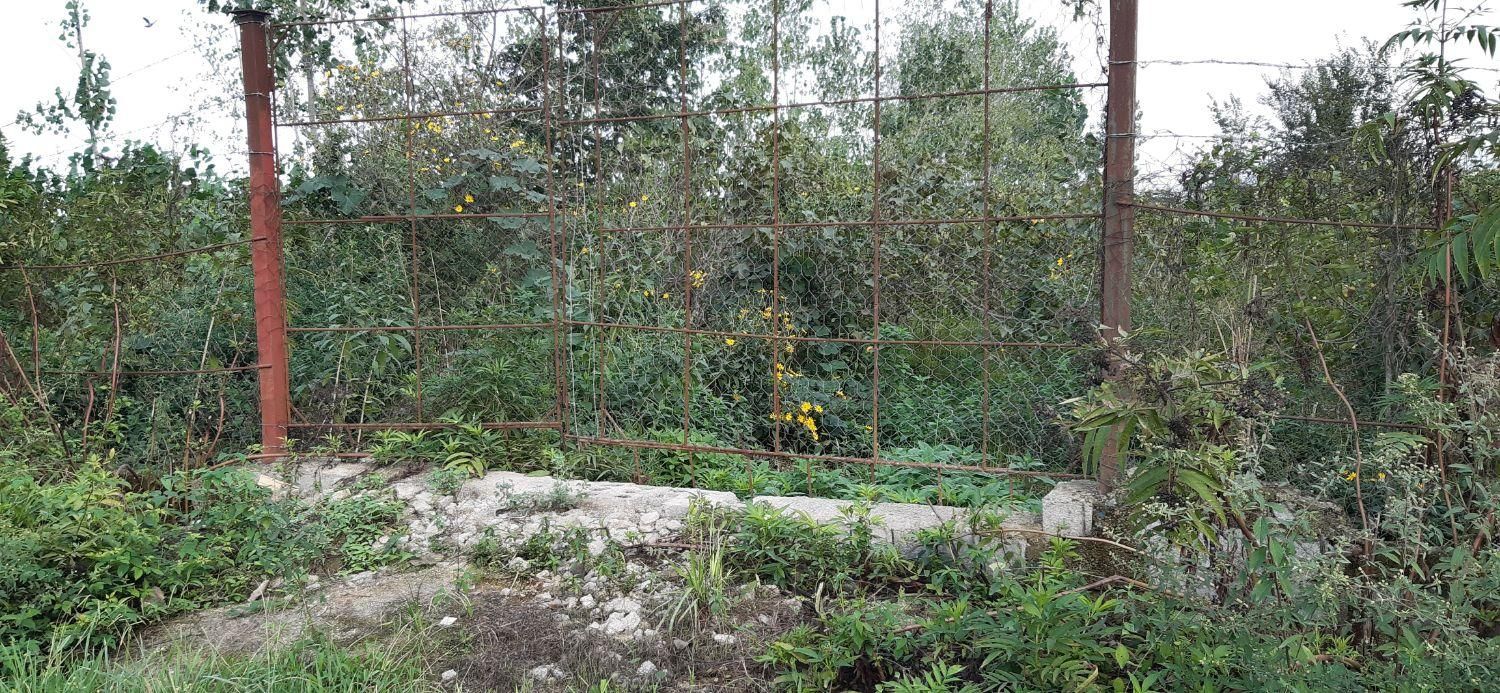 ملک با کاربری جهانگردی و گردشگری|فروش زمین و ملک کلنگی|مشهد, نوفل لوشاتو|دیوار