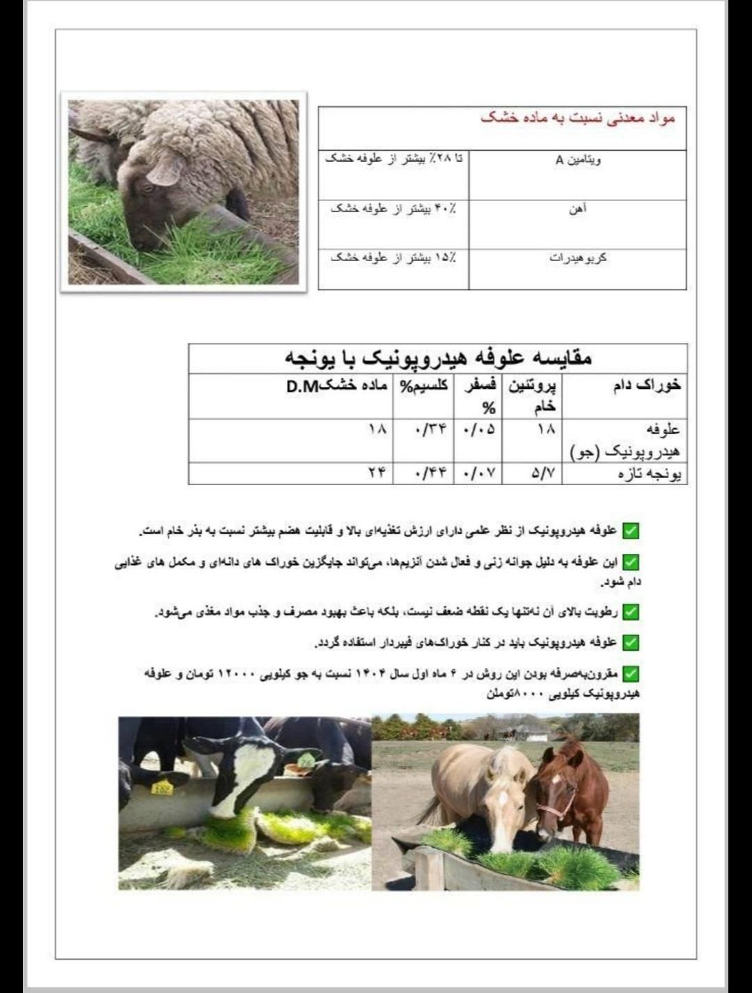 علوفه هیدروپونیک تازه گندم و جو|حیوانات مزرعه|نسیم‌شهر, |دیوار