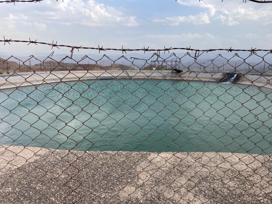 فروش ویلای ۱۰۰۰ متری با ۶۰ هکتار باغ زیتون|فروش زمین و ملک کلنگی|رودبار, |دیوار