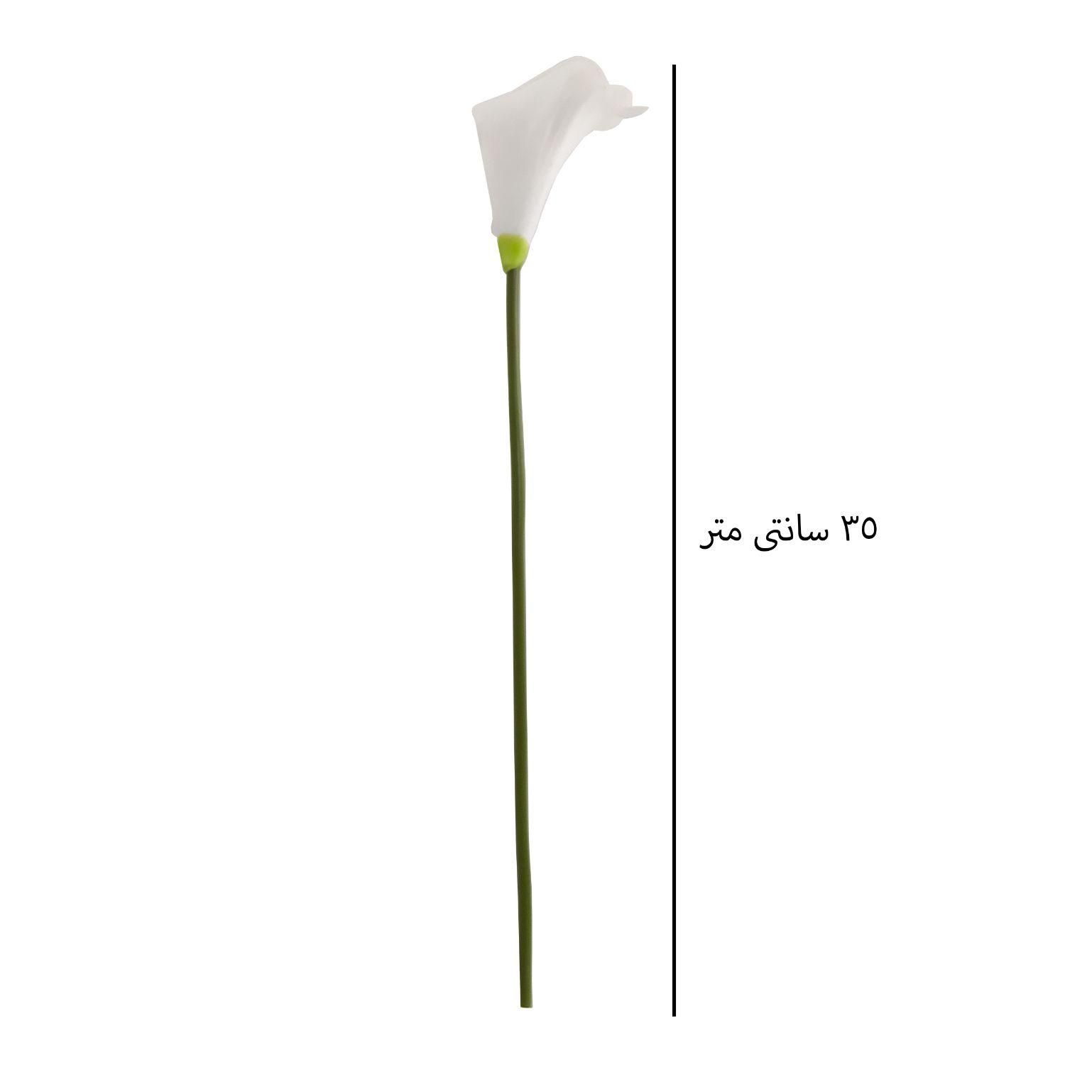 گل شیپوری دسته ۱۰ عددی|گل مصنوعی|نجف‌آباد, نجف‌آباد|دیوار