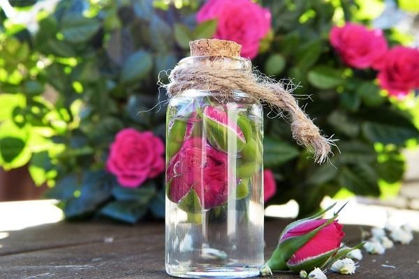 گلاب و عرقیات طبیعی و ارگانیک|عمده‌فروشی|تهران, جردن|دیوار