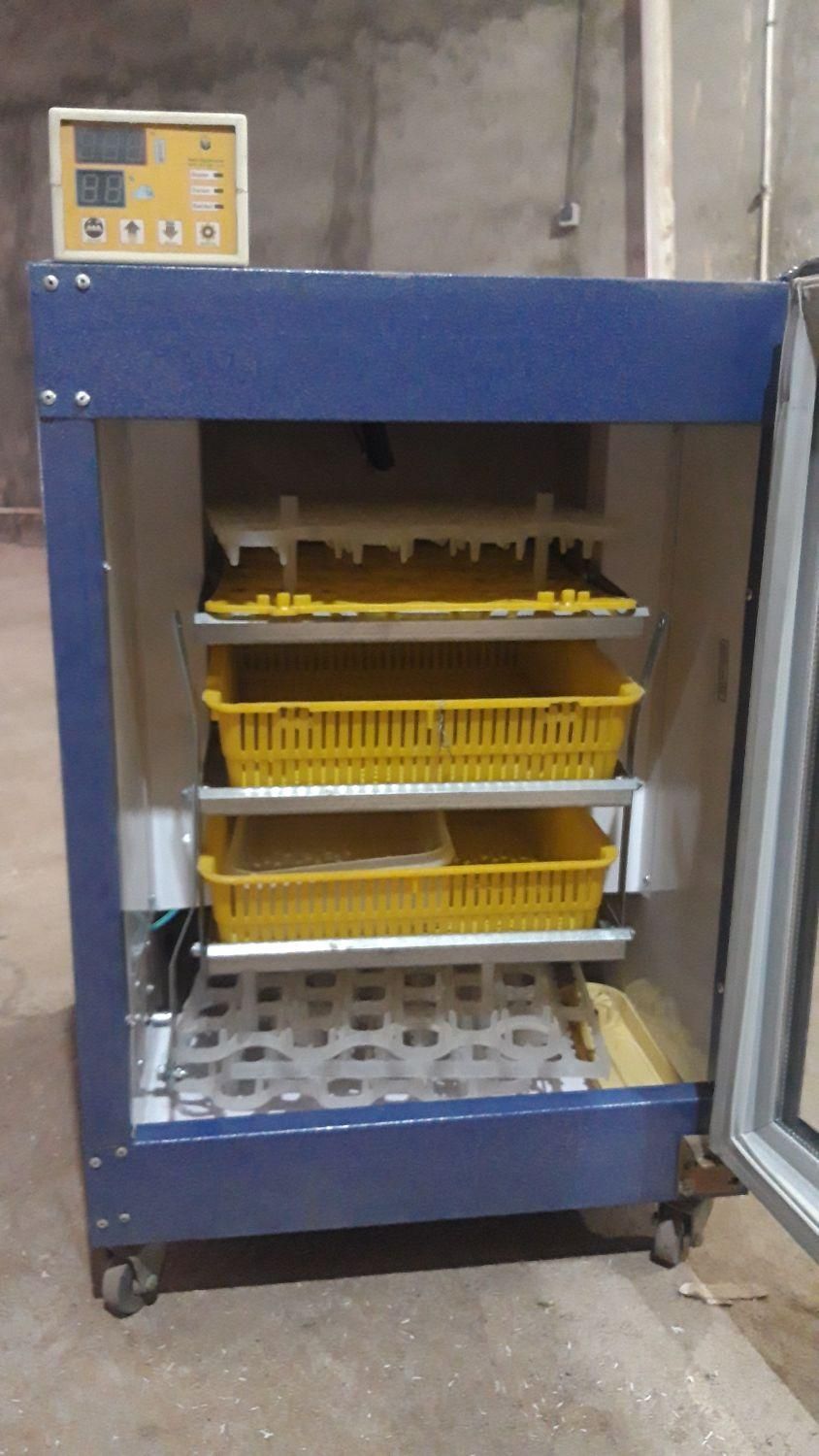 دستگاه جوجه کشی دماوند|لوازم جانبی حیوانات|قدس, شهر‌قدس|دیوار