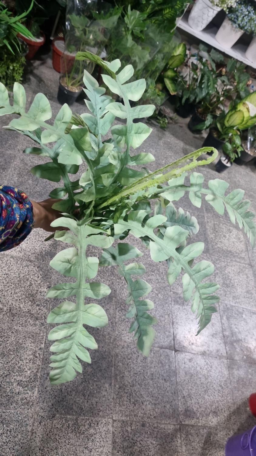 بوته های برگ مصنوعی خارجی|گل مصنوعی|فردیس, فردیس|دیوار