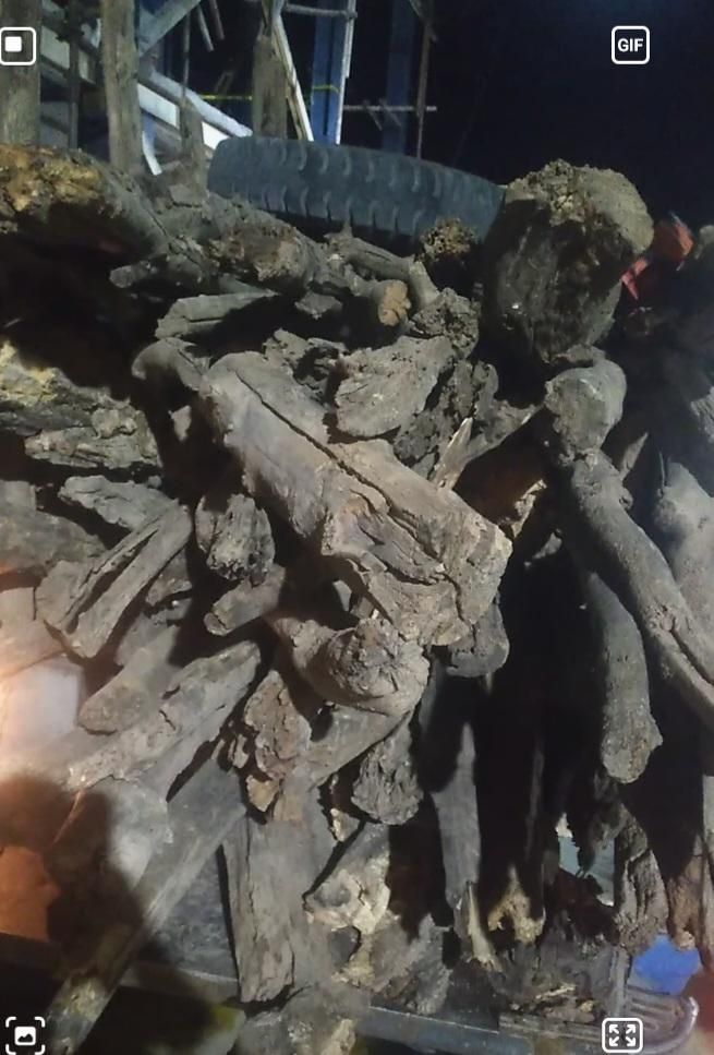 خرید درخت و چوب ساختمانی سقفی وضایعاتی|خدمات باغبانی و درختکاری|ایلام, |دیوار