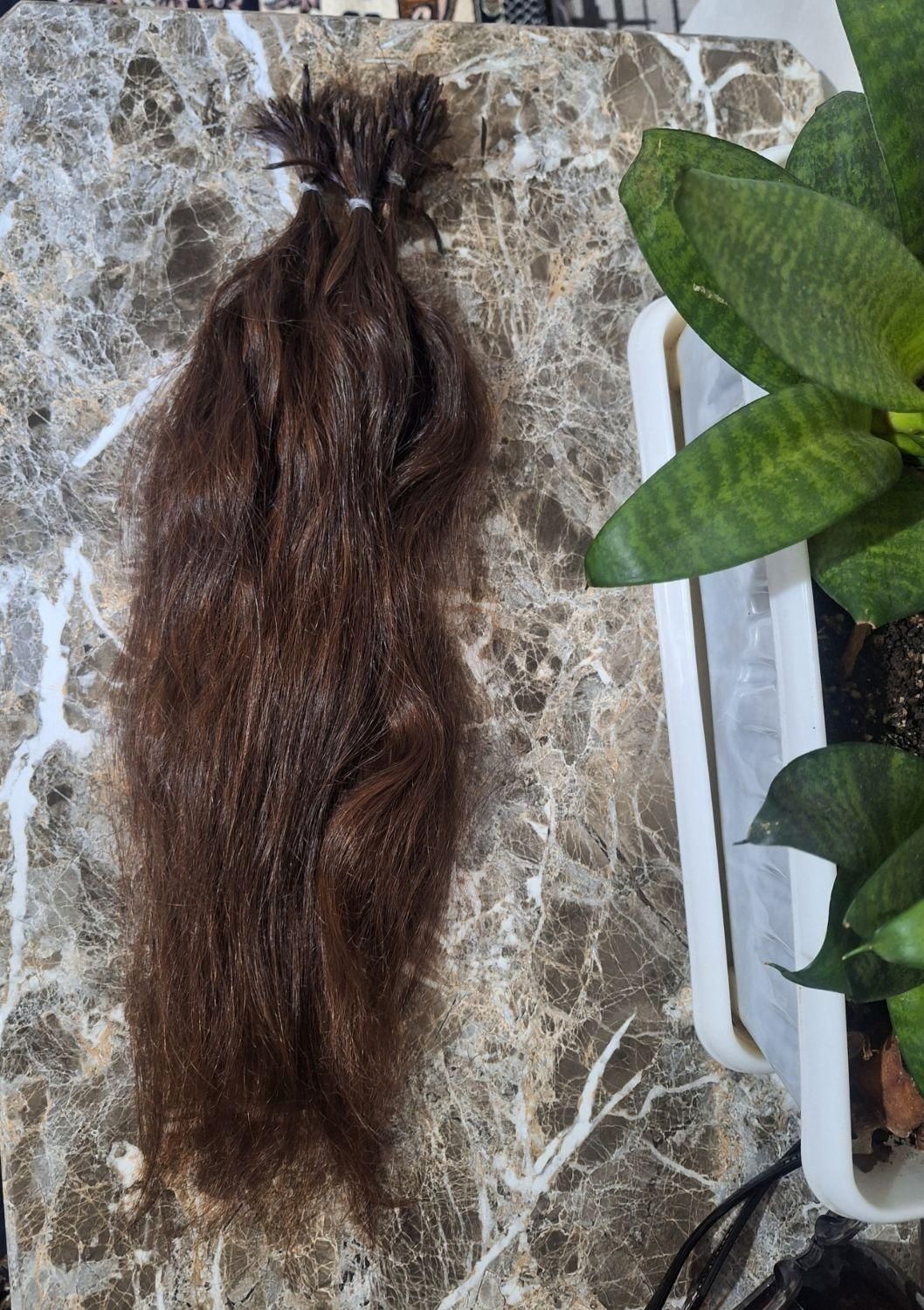 مو طبیعی سالم|آرایشی، بهداشتی، درمانی|رشت, دیانتی|دیوار