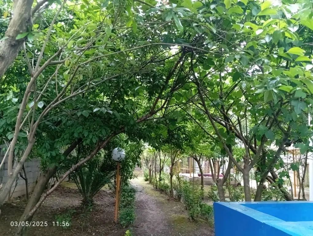 خانه ویلای ۱۰۰۰متر زمین بنا۱۰۰متر نزدیک هتل تیدا|فروش خانه و ویلا|رشت, لاکان شهر|دیوار