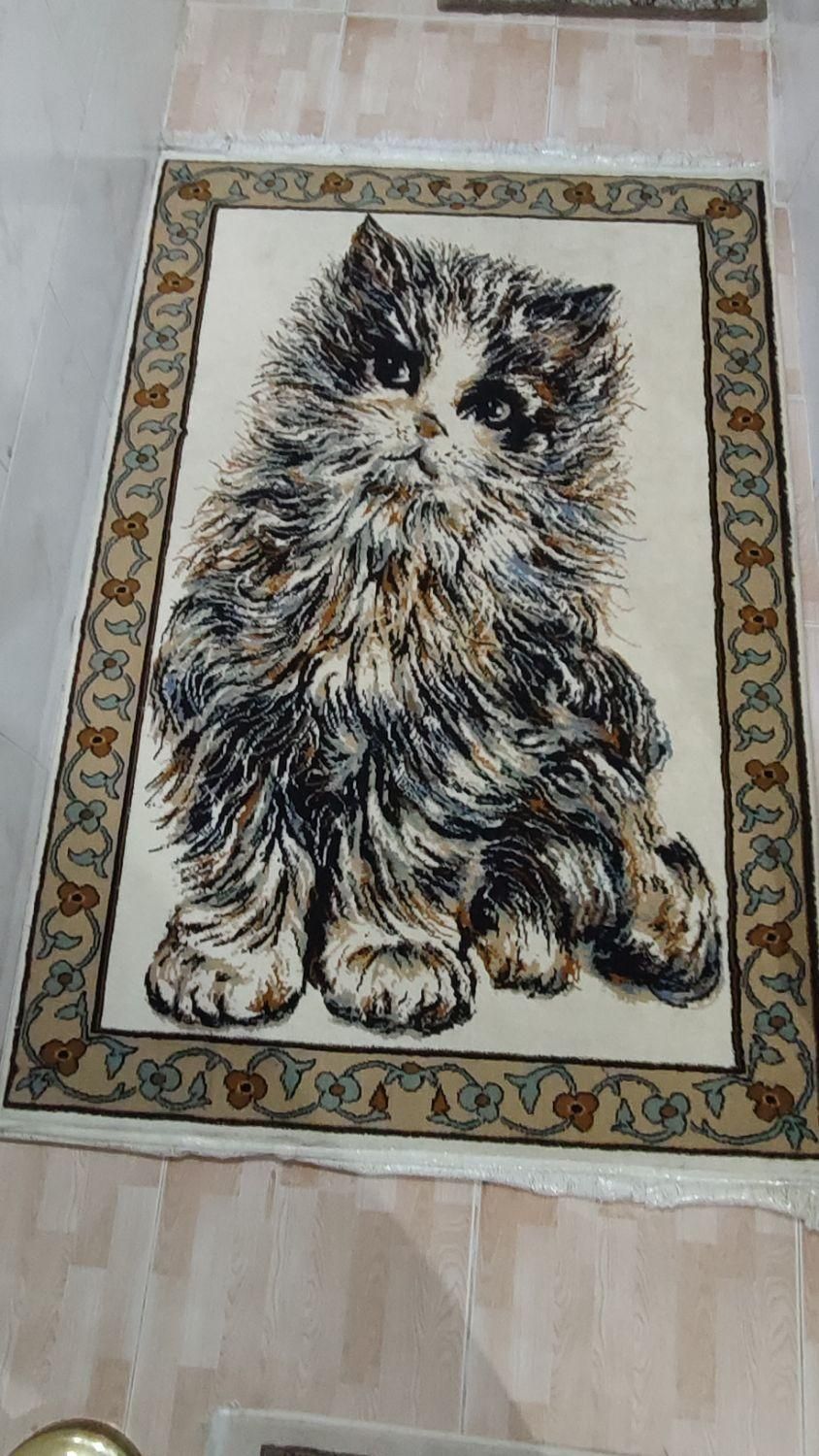 فرش|فرش|رباطکریم, رباطکریم|دیوار