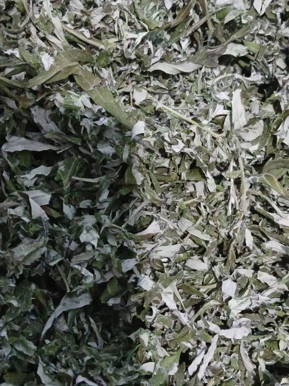 رزماری خشک|آرایشی، بهداشتی، درمانی|کرج, فاز ۴ مهرشهر|دیوار