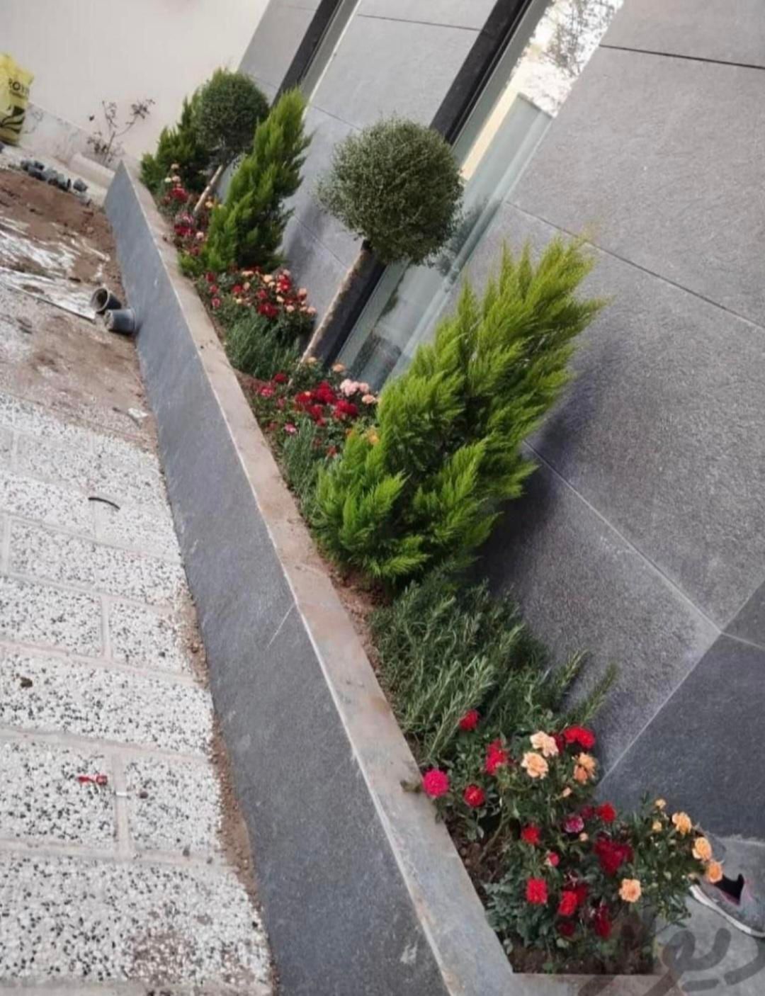 انجام خدمات باغبانی باغچه ،هرس ،کاشت|خدمات باغبانی و درختکاری|قم, شهرک قدس|دیوار