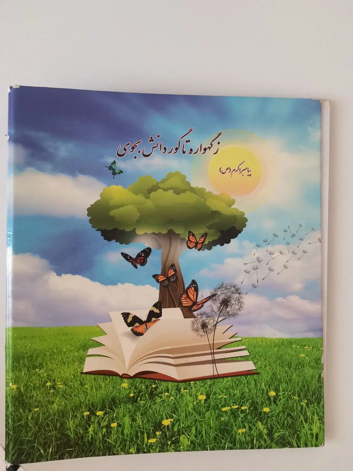کلر بوک|لوازم التحریر|تهران, استخر|دیوار