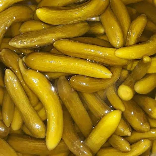 خیارشور|خوردنی و آشامیدنی|مشهد, کشاورز|دیوار