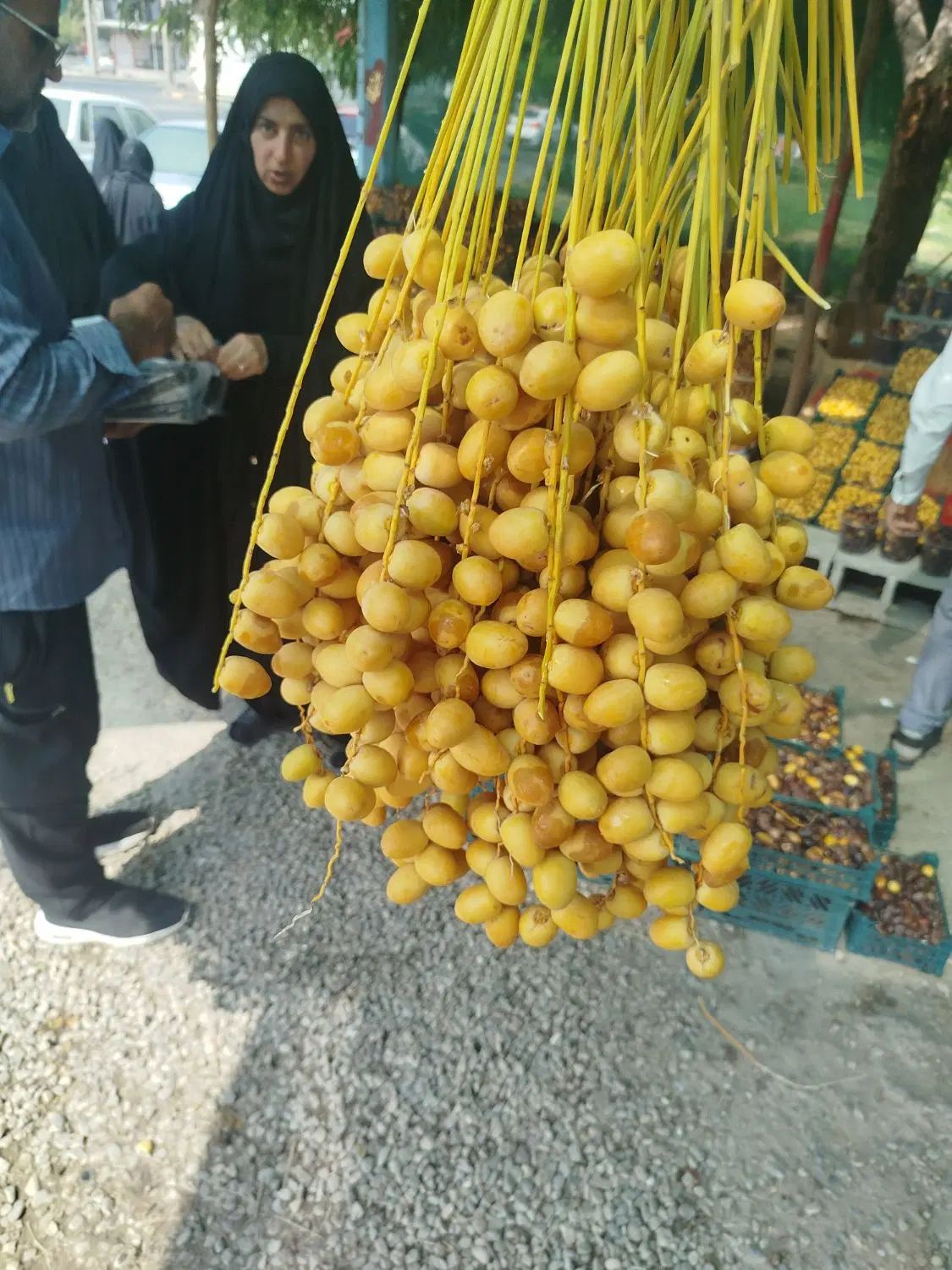 خرما|خوردنی و آشامیدنی|تهران, تهران پارس|دیوار