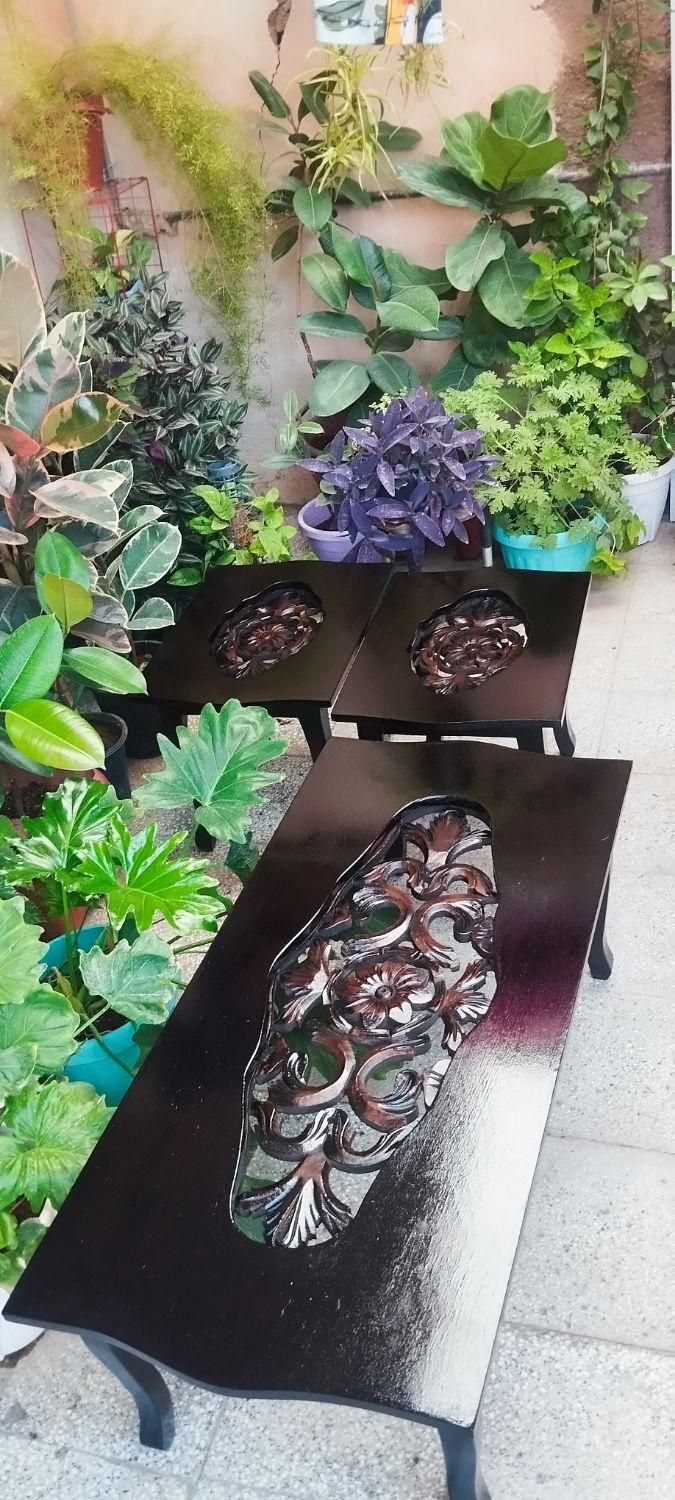 میز جلو مبلی. عسلی|مبلمان خانگی و میز عسلی|اسفراین, |دیوار