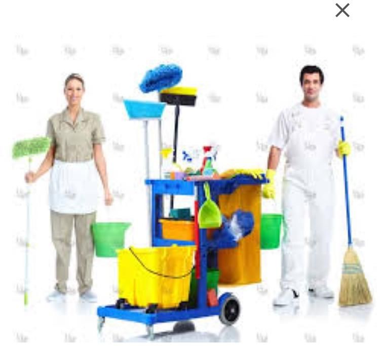 نظافت منزل و ویلا و حیاط|خدمات نظافت|نور, |دیوار