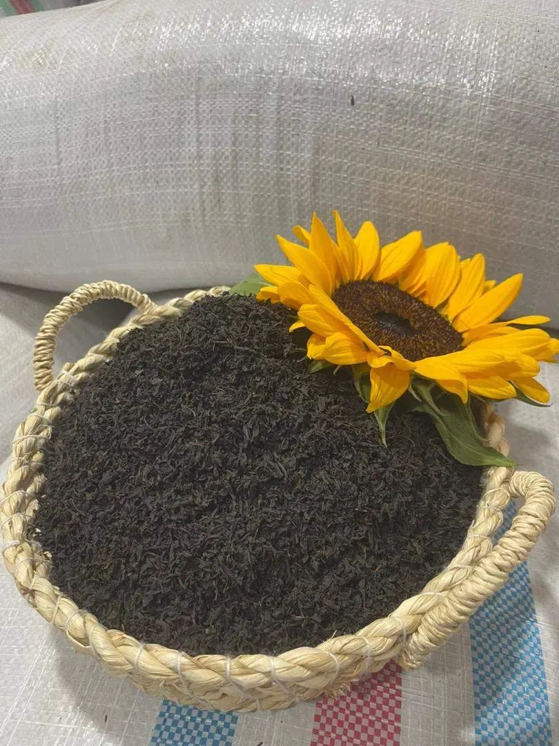 چای درجه یک بهاره|خوردنی و آشامیدنی|رشت, پیرسرا|دیوار