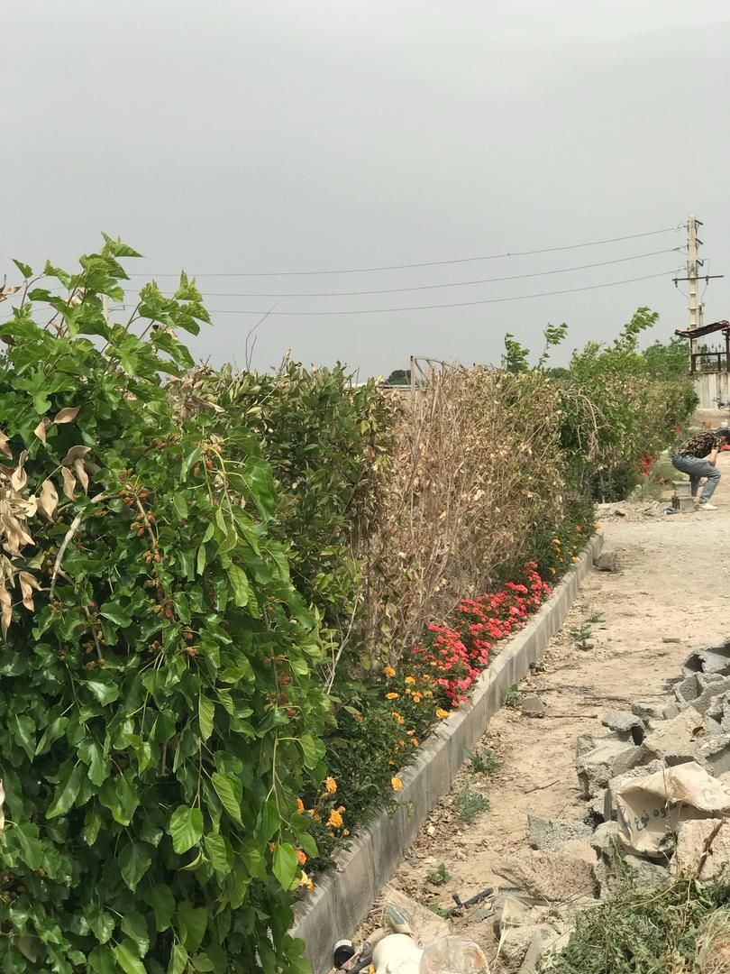 باغچه داخل مجموعه چهاردیواری|فروش زمین و ملک کلنگی|رباطکریم, انجم آباد|دیوار