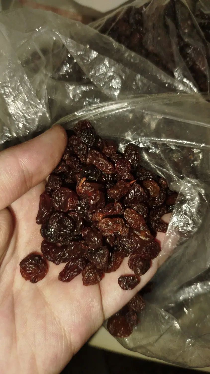 برنج طارم معطر گرگان کشمش پلویی کیلویی ۱۵۰|خوردنی و آشامیدنی|تهران, خاوران|دیوار