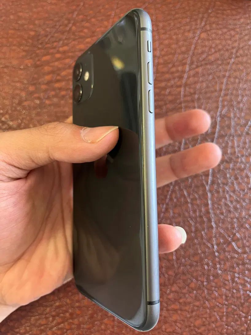 iPhone 11- دوسیم 128 ( آیفون 11 نرمال )|موبایل|مشهد, امیر المومنین|دیوار