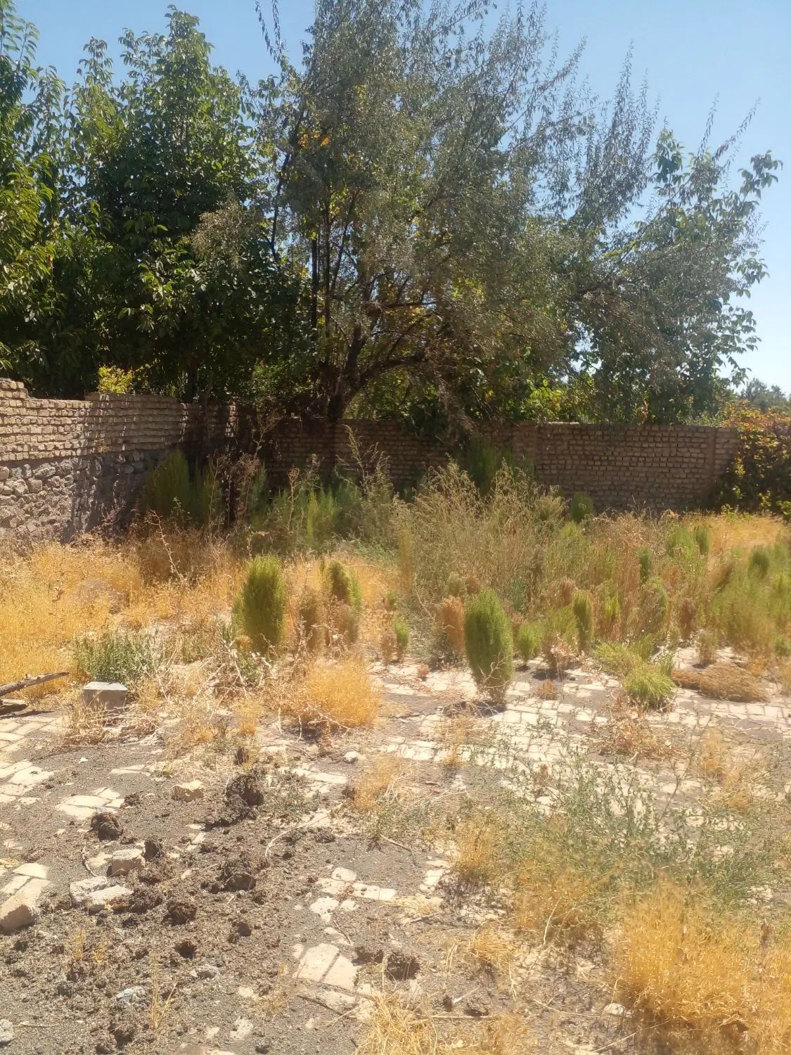 فروش زمین ۴۰۰ متری در روستای بوژآباد جاده بوژان|فروش زمین و ملک کلنگی|نیشابور, منظر|دیوار