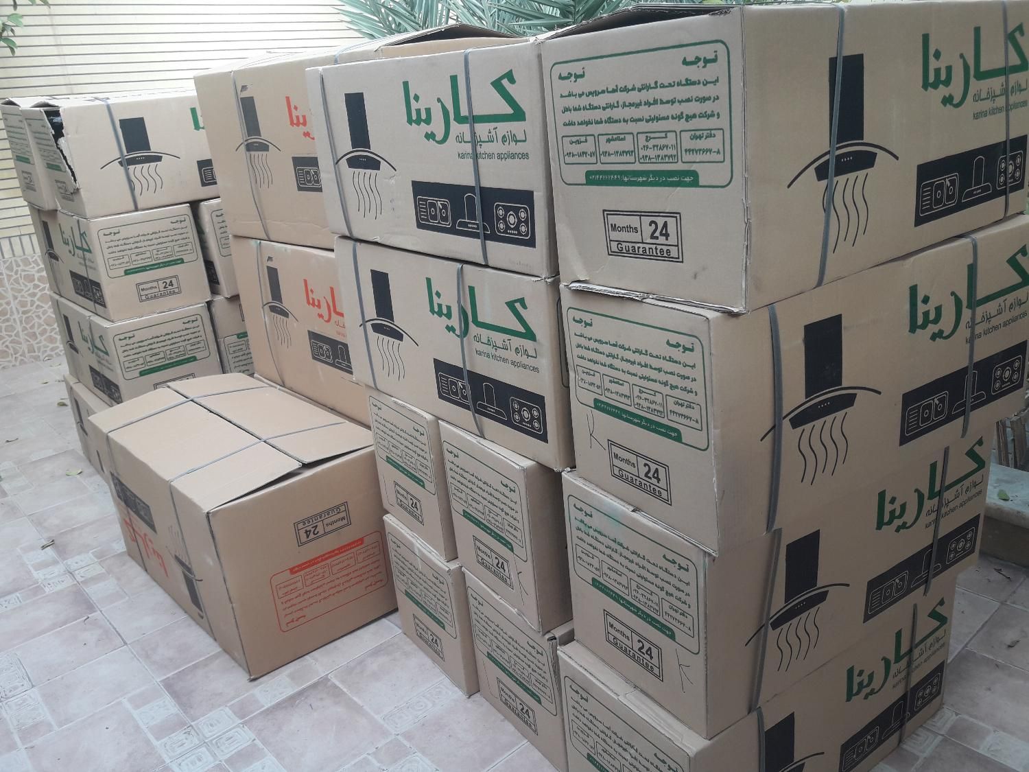 هود کارینا|هود|کاشان, باغ ماجد|دیوار