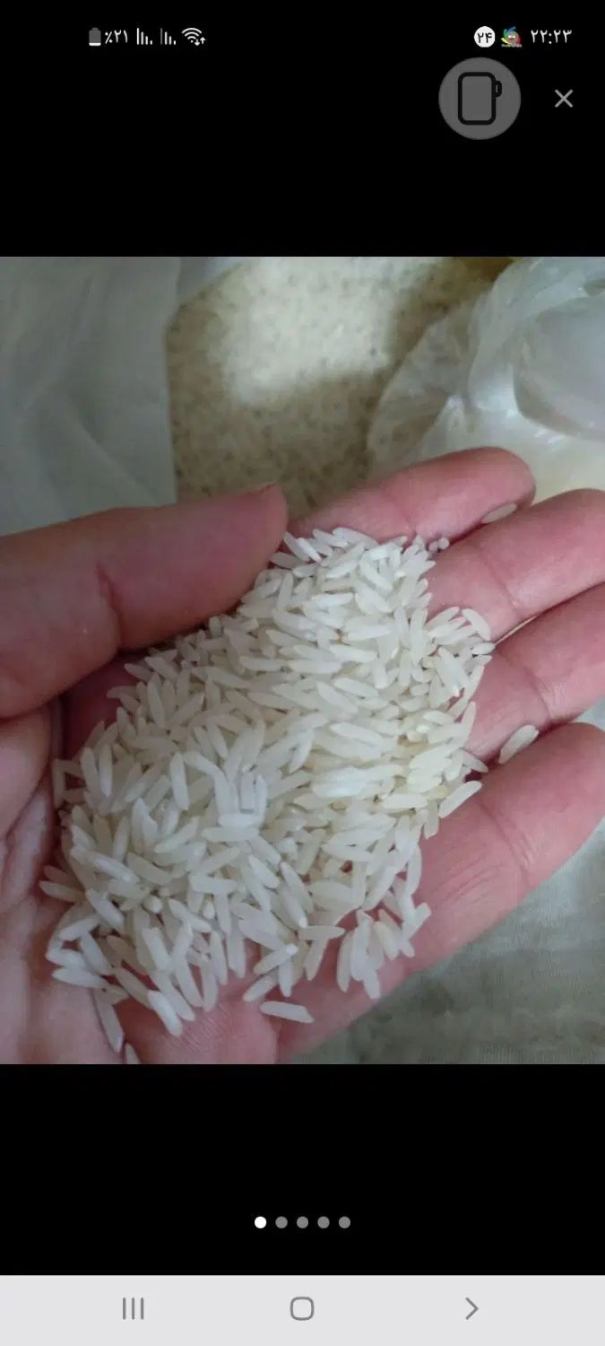 برنج طارم هاشمی درجه ۱|خوردنی و آشامیدنی|تهران, بیسیم|دیوار