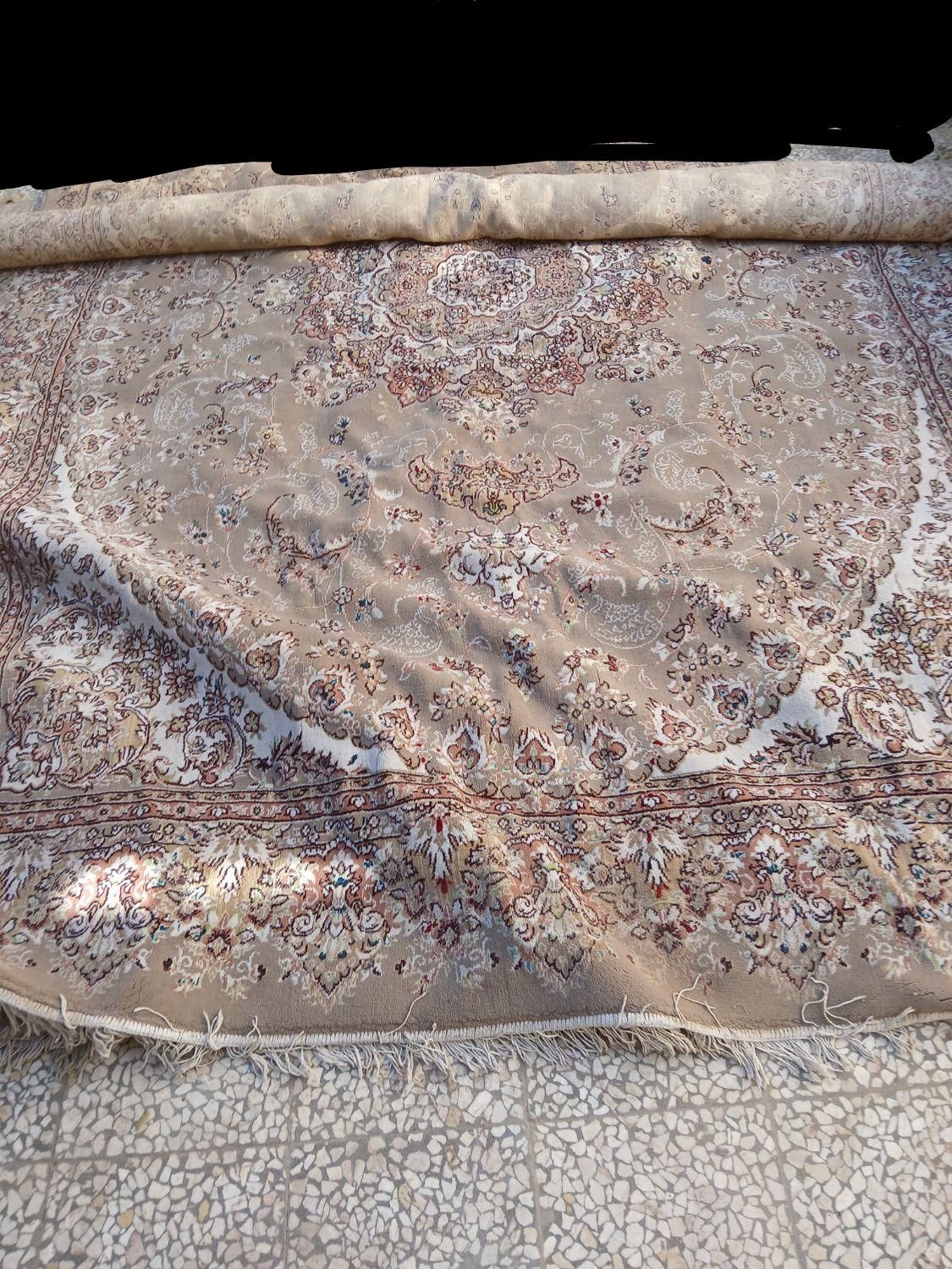 فرش|فرش|آران و بیدگل, |دیوار