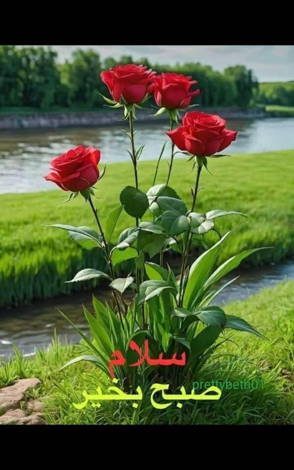 سرایدار جهت نگهداری از یک پیر مرد|استخدام سرایداری و نظافت|رضوانشهر, |دیوار