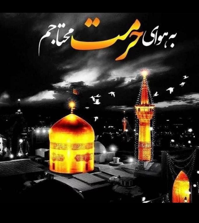 سفر زیارتی مشهد|تور و چارتر|میناب, |دیوار