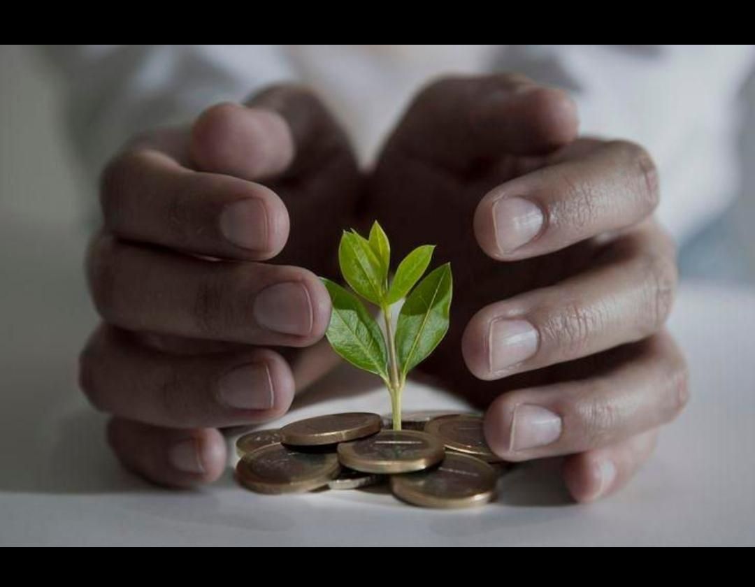 نیازمند سرمایه گذار|فعالیت داوطلبانه|اصفهان, باغ زرشک|دیوار