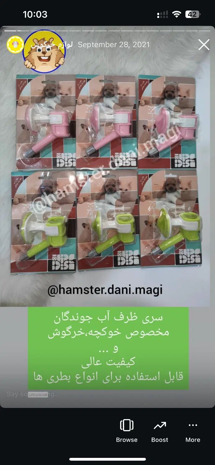 قفس توپ همستر شن حمام غذای مخصوص جوندگان|لوازم جانبی حیوانات|تهران, آرژانتین|دیوار