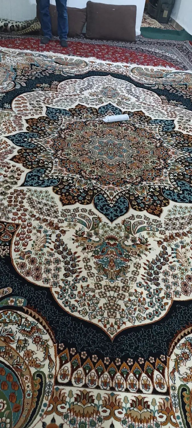 فرش ۱۲ متری نو آکبند فرش آرا|فرش|مشهد, کوی دروی|دیوار