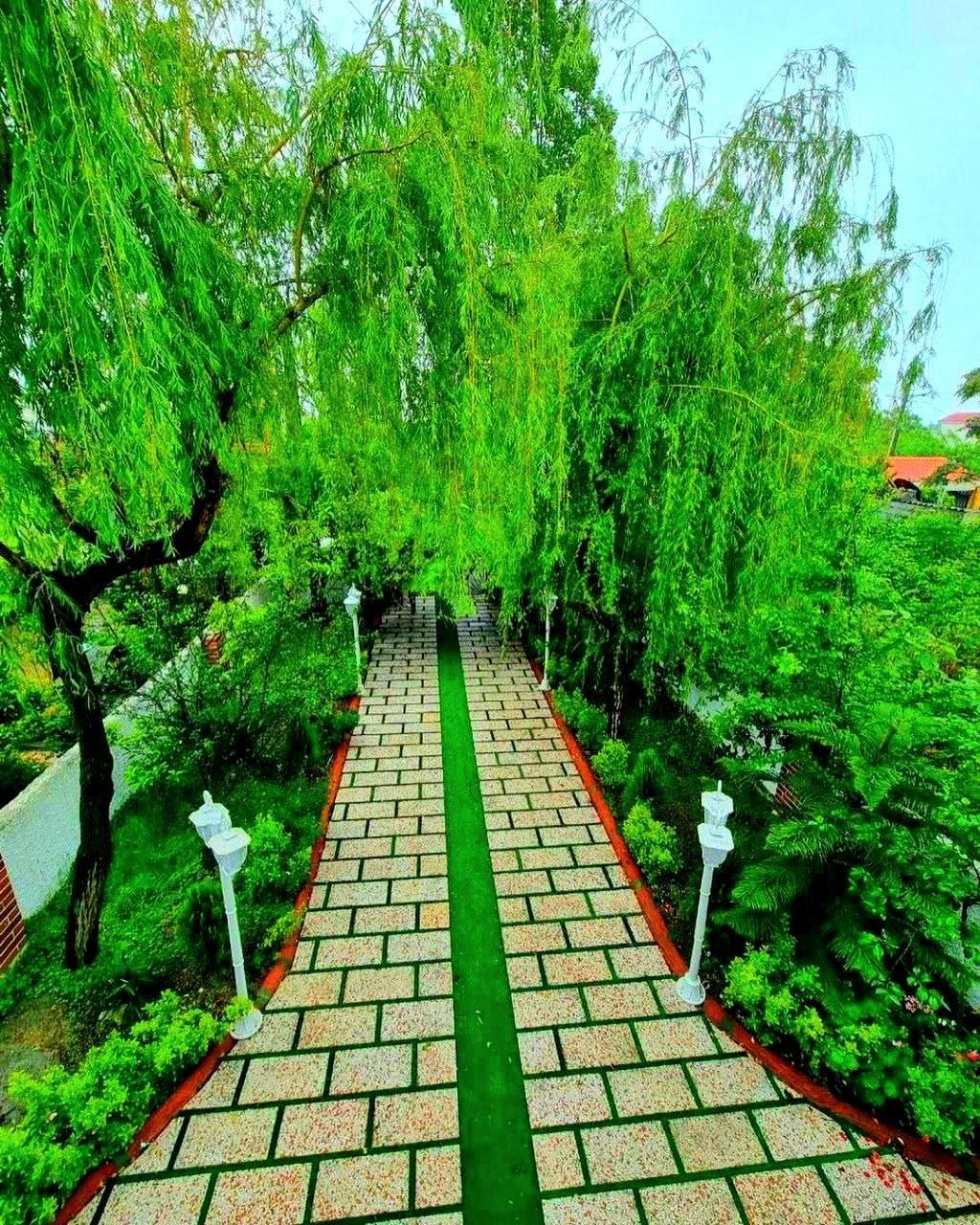 باغویلادوبلکس جنگلی سنددارمبله/شهرک اصیل پلاک۱جنگل|فروش خانه و ویلا|آلاشت, |دیوار