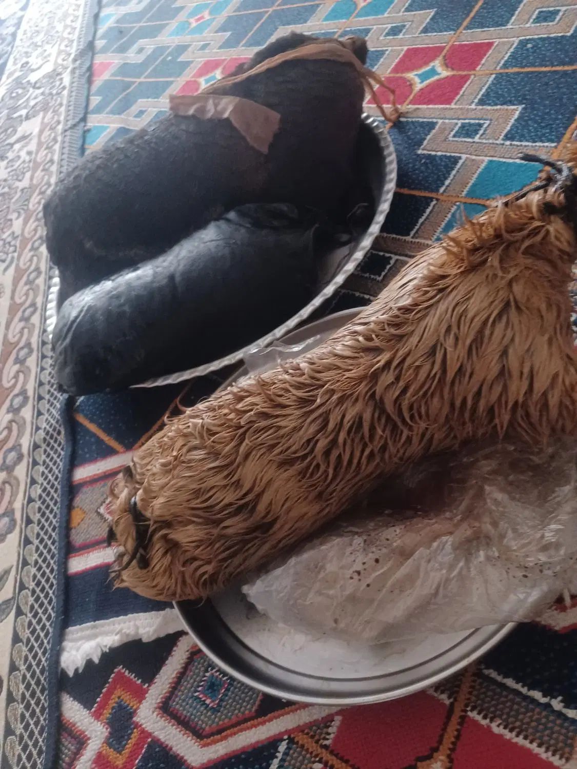 دو عدد خیگ روغنی که قبلا از آنها استفاده نشده است|ظروف نگهدارنده، پلاستیکی، یک‌بارمصرف|نجف‌آباد, یزدانشهر|دیوار