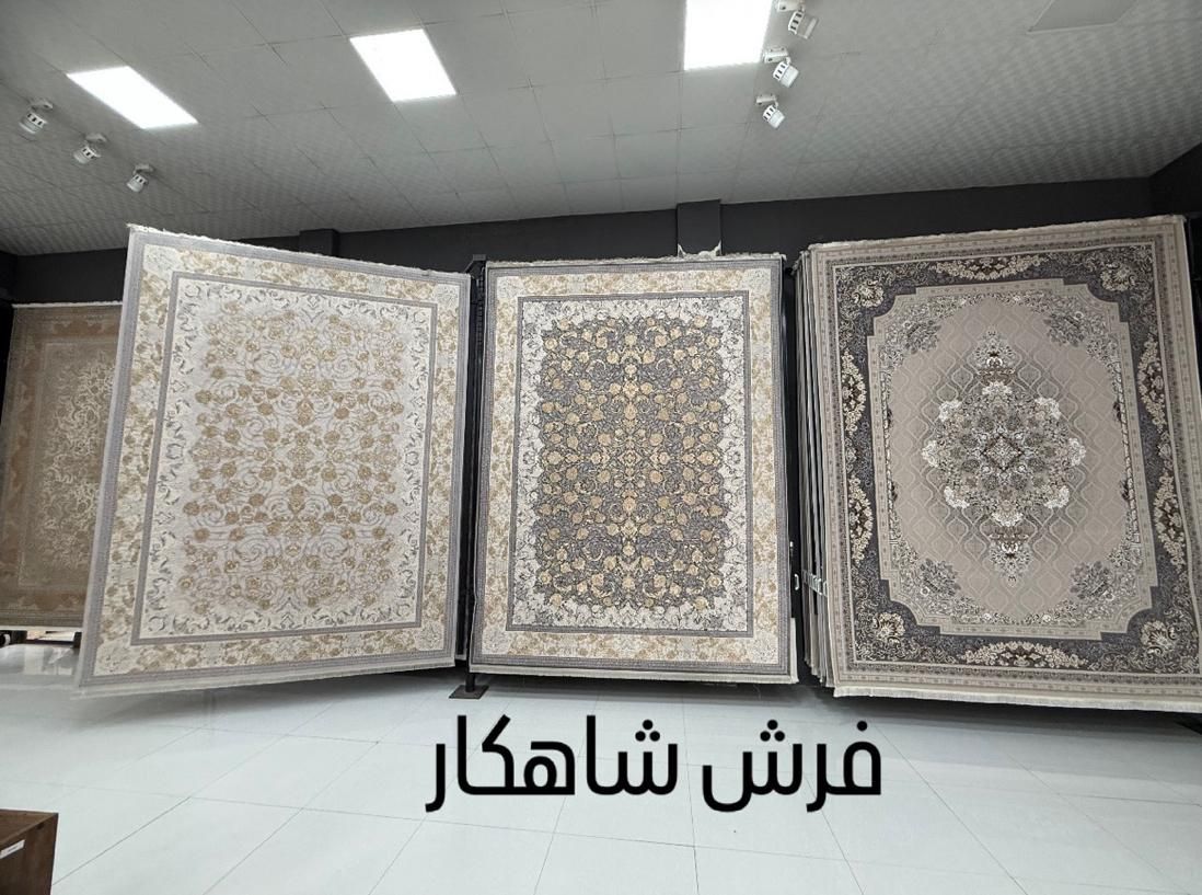 فرش خلیج فارس ۱۲۰۰شانه نخ مخمل تاپس|فرش|شیراز, شهرک سراج‎|دیوار