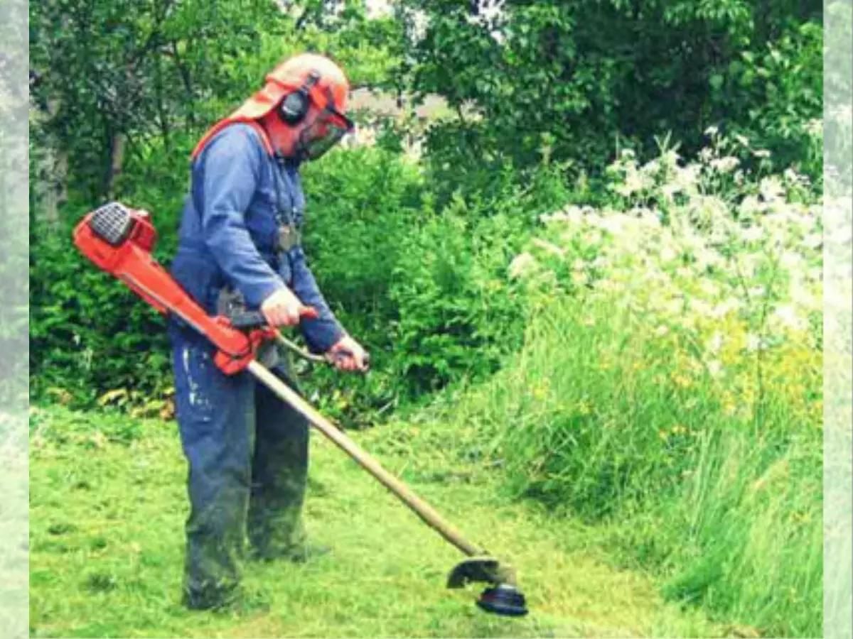 چمن زنی و علف زنی چمن کاری و گل کاری حاشیه زنی|خدمات باغبانی و درختکاری|ارومیه, |دیوار