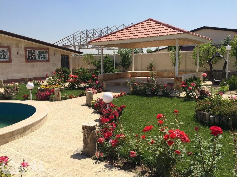 خدمات باغبانی گل کاری هرسکاری وتعویض خاک گلدون|خدمات باغبانی و درختکاری|تهران, تجریش|دیوار