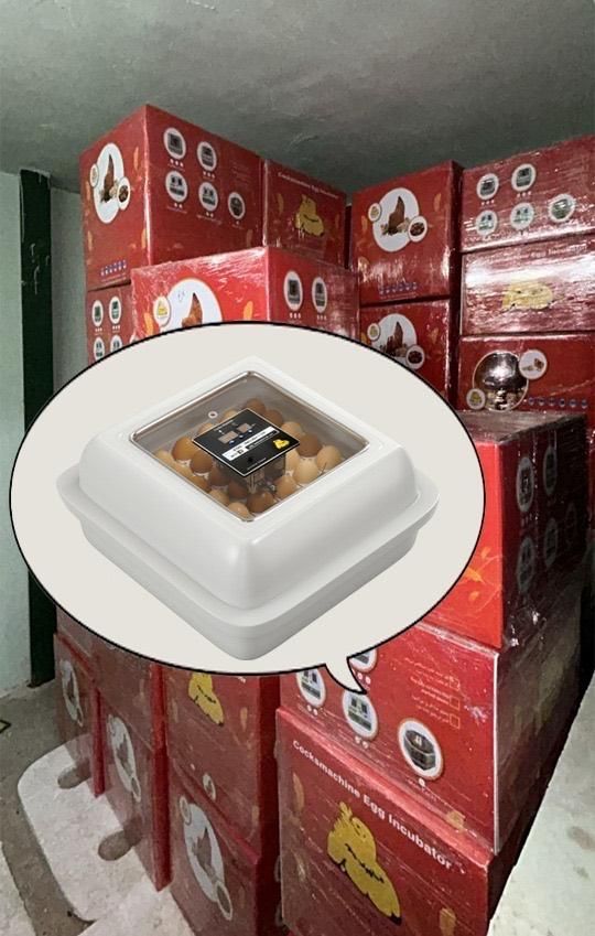 دستگاه جوجه کشی گلدن ۴۲عددی(شرکتی)|لوازم جانبی حیوانات|تهران, ایران|دیوار