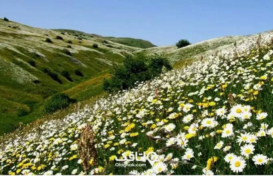سفر کاروانی  به آبگرم سرعین اردبیل دوروزه|تور و چارتر|رشت, آب و برق|دیوار