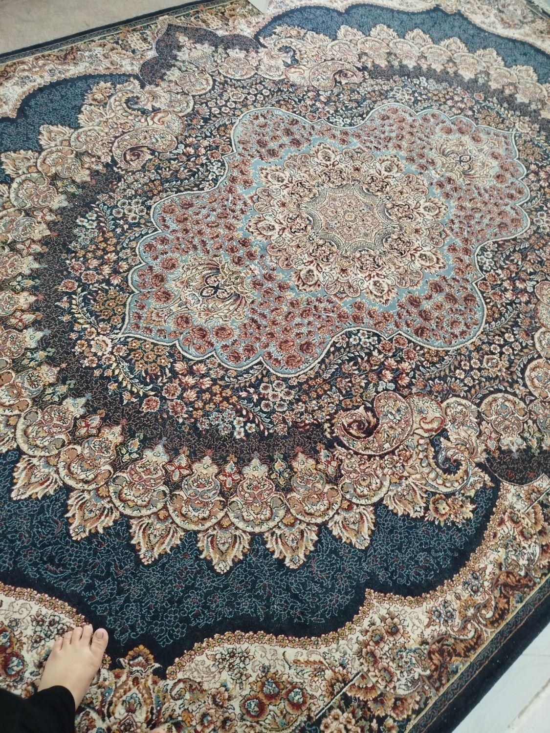 فرش ۹متری|فرش|گرگان, |دیوار