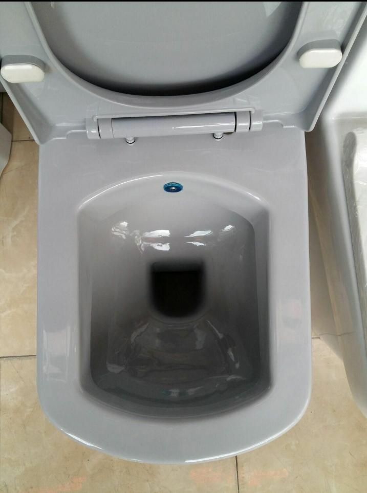 توالت فرنگی گاتریا ژوبیتر/ سفید-طوسی-مشکی|لوازم سرویس بهداشتی|تبریز, |دیوار