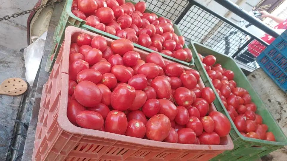 گوجه همراه دستگاه تمام اتوماتیک ارسال درب منزل|عمده‌فروشی|محمدشهر, عباس آباد|دیوار