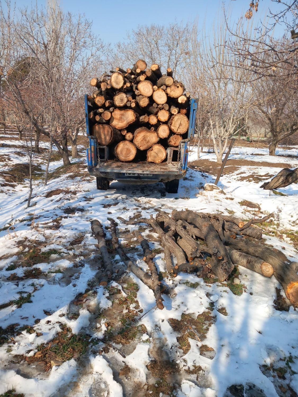 خریدهمه نوع چوب|خدمات باغبانی و درختکاری|چهارباغ, |دیوار