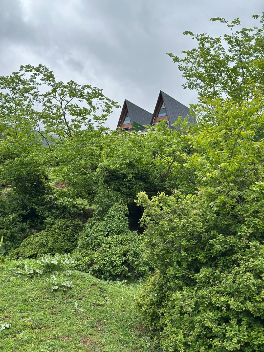 اجاره کلبه سوئیسی جکوزی دار|اجارهٔ کوتاهمدت ویلا و باغ|مرزنآباد, |دیوار