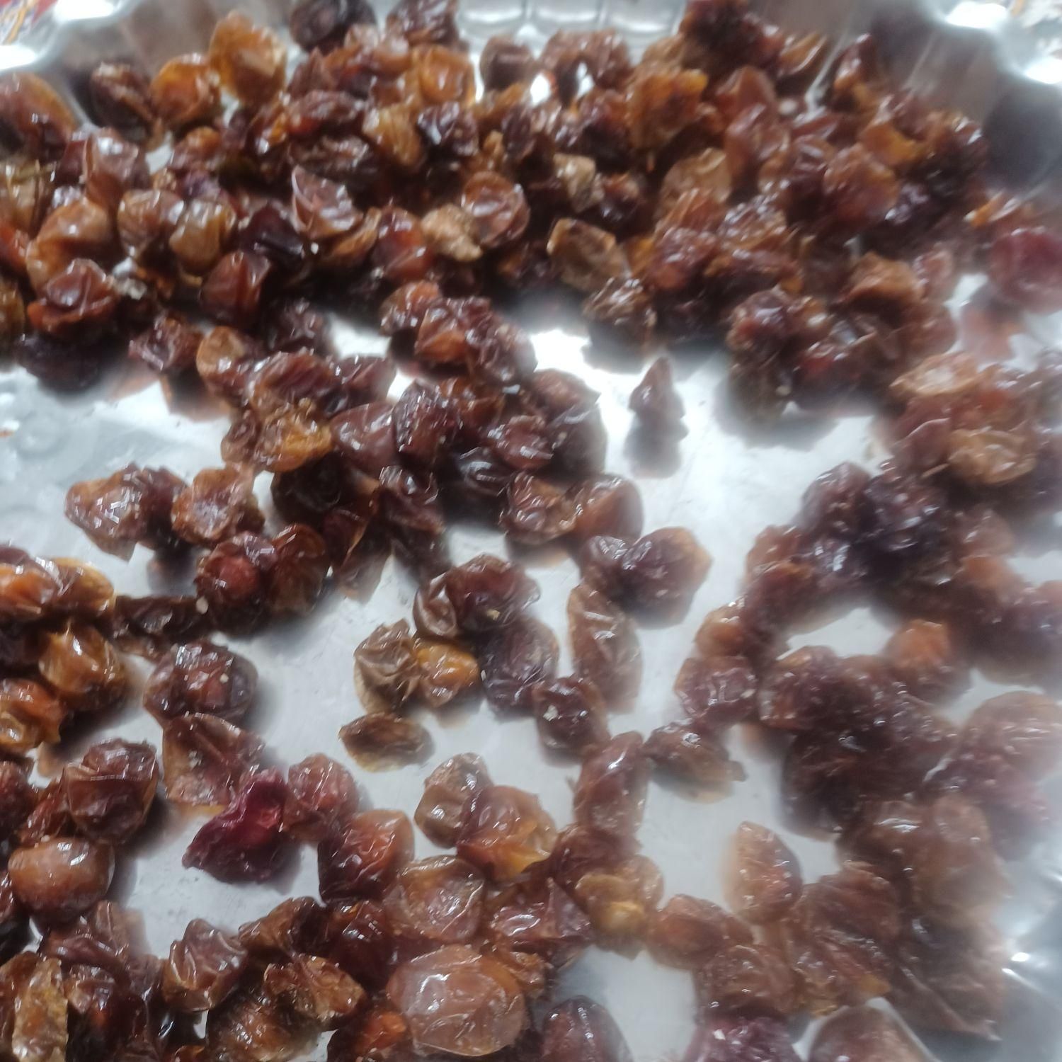 فروش الوچه شیرین|خوردنی و آشامیدنی|اصفهان, سرشبادران|دیوار
